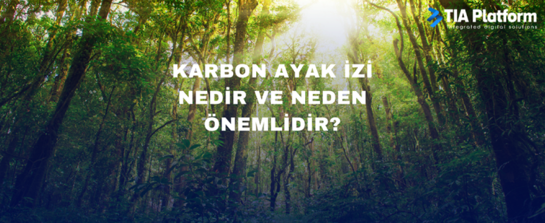 Karbon Ayak İzi Nedir ve Neden Önemlidir? 