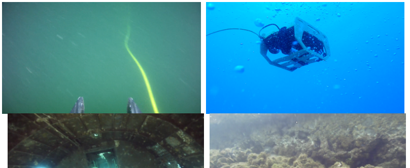 Performance Analysis of Machine Learning Models for Object Recognition in Underwater Video Images